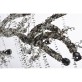 AM3010 BRANCH